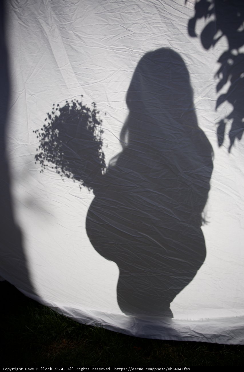 Awaiting Leland: A Silhouette of Anticipation