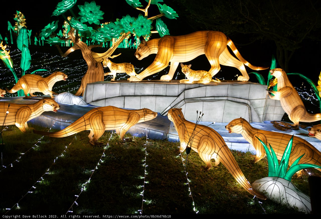 Resplendent Wild Night at Glowfari Oakland Zoo