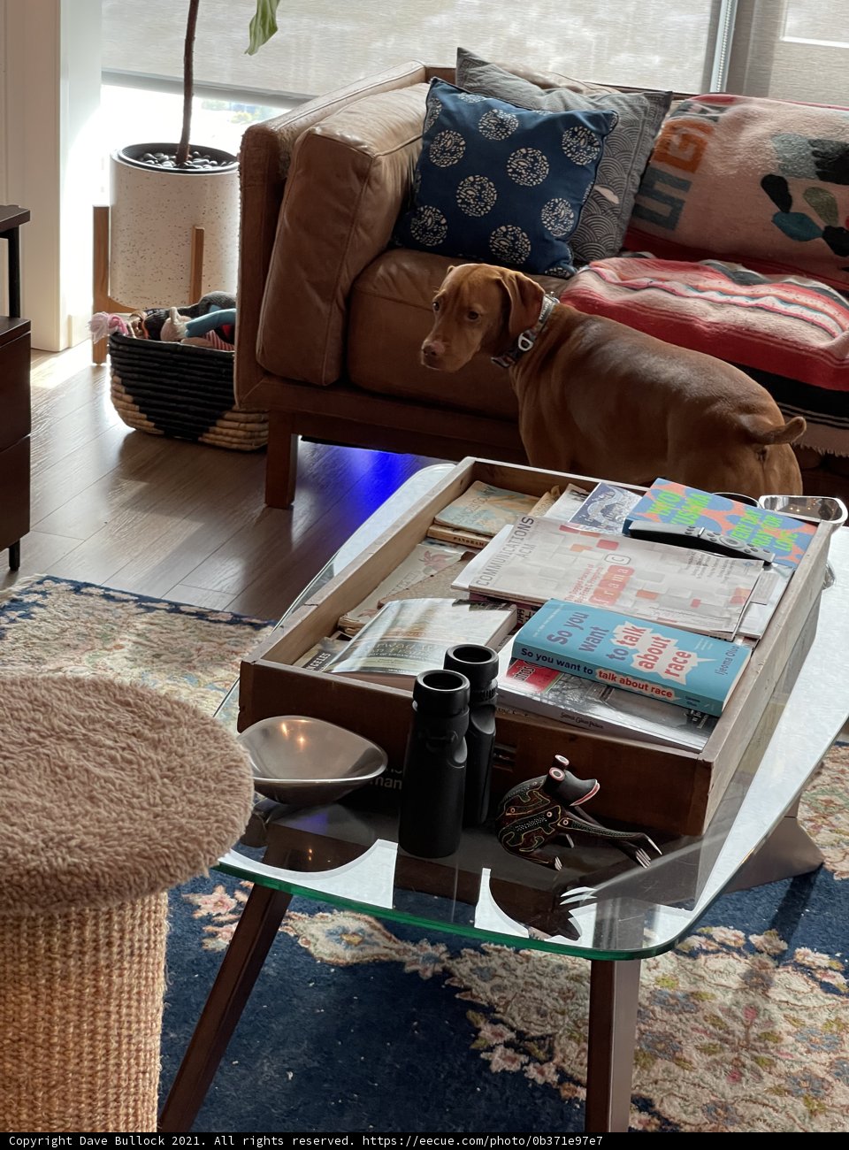 Cozy Living Room Setup