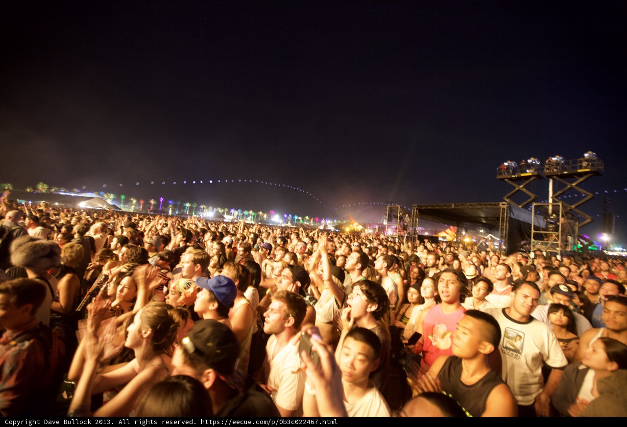Coachella Night Fever
