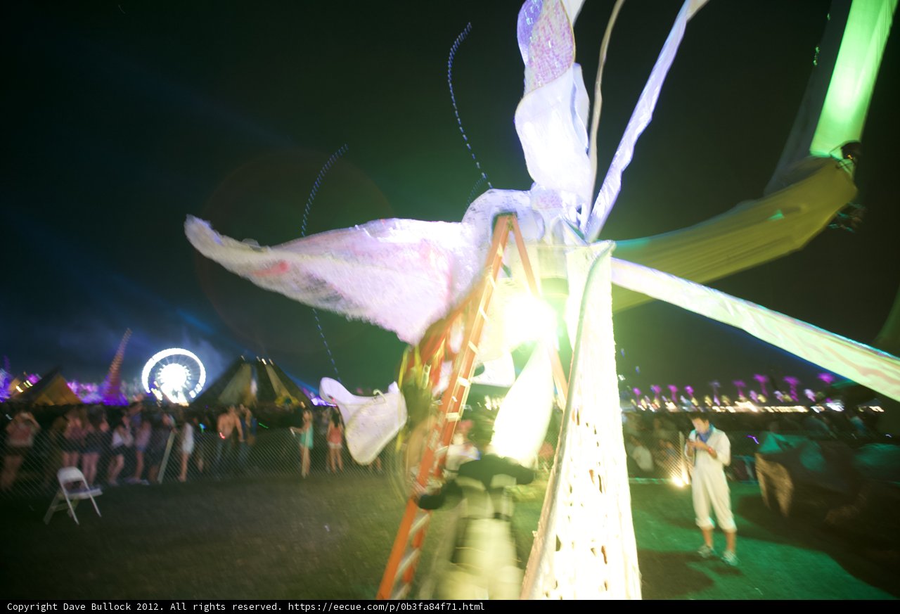 Nightlife under the Big Top