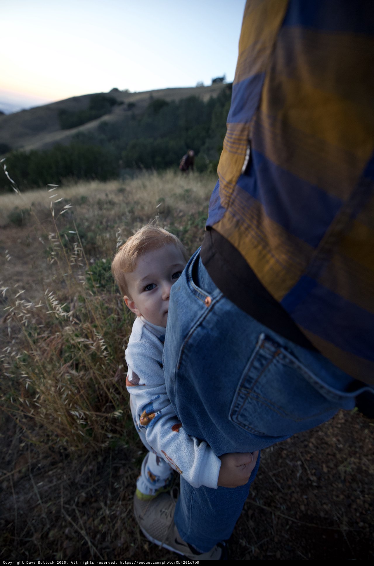 Toddler Clings to Parent's Leg at Dusk