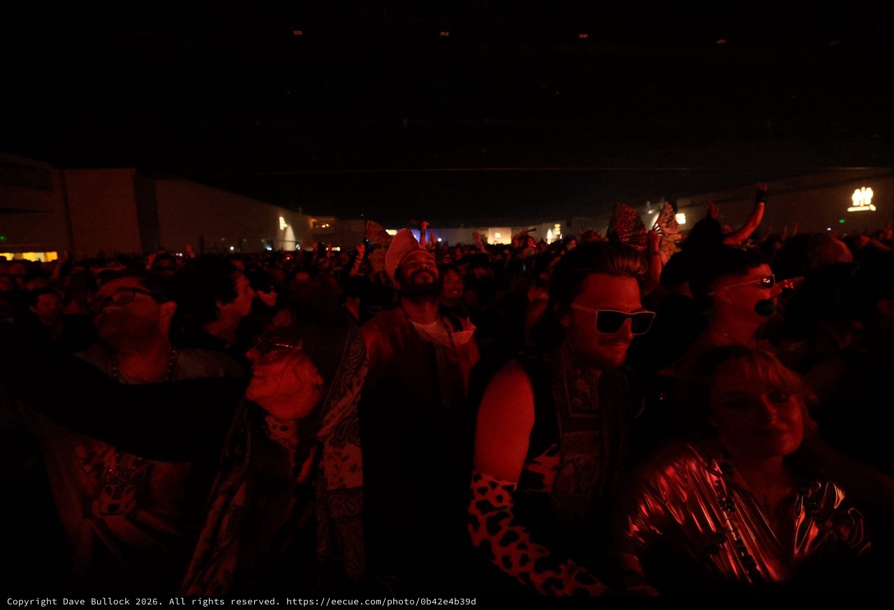 Crowd Surges Under Red Light at Wobbleland Festival