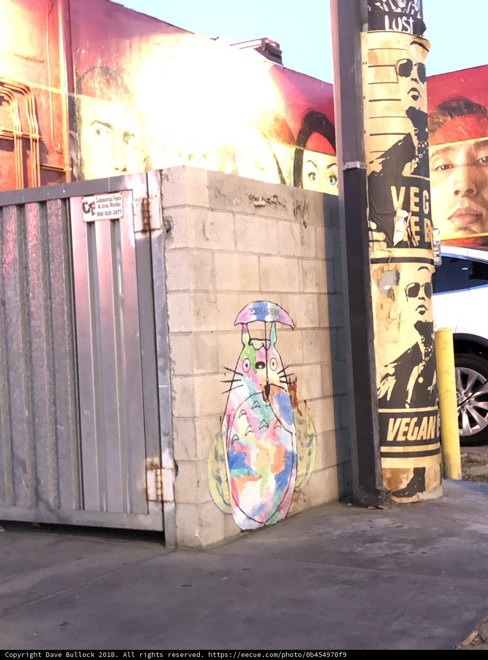Colorful Mural Adorns City Wall