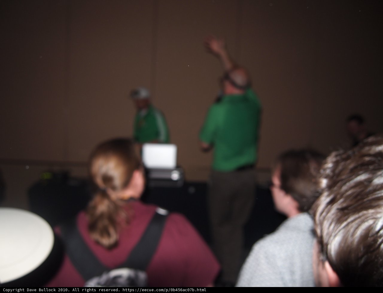 Man in Green Shirt Enjoys Company