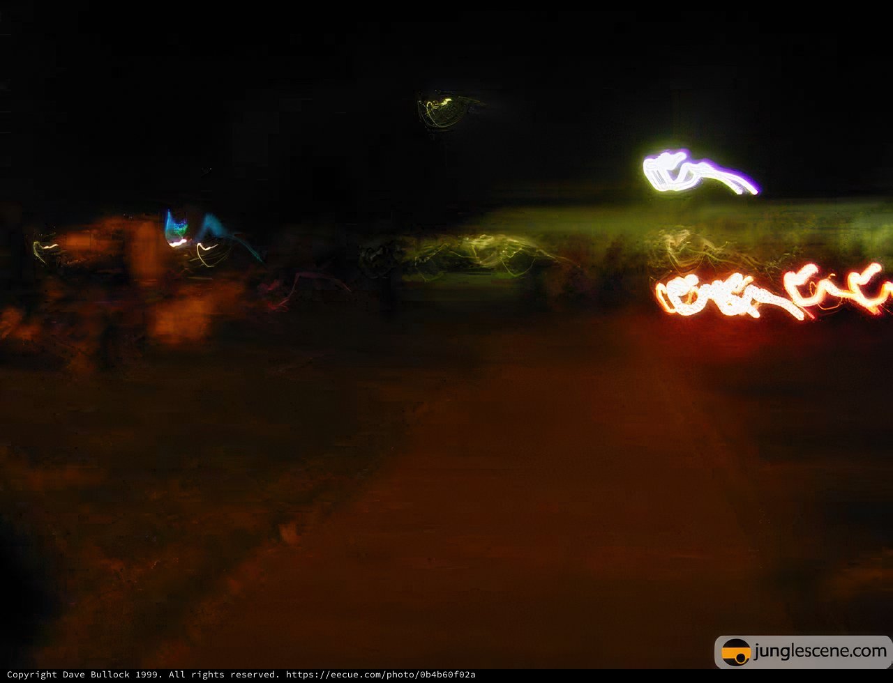 Lights at Night