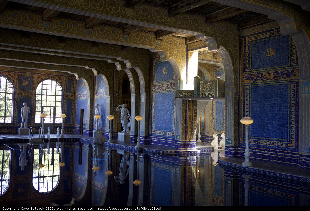 Regal Reflections