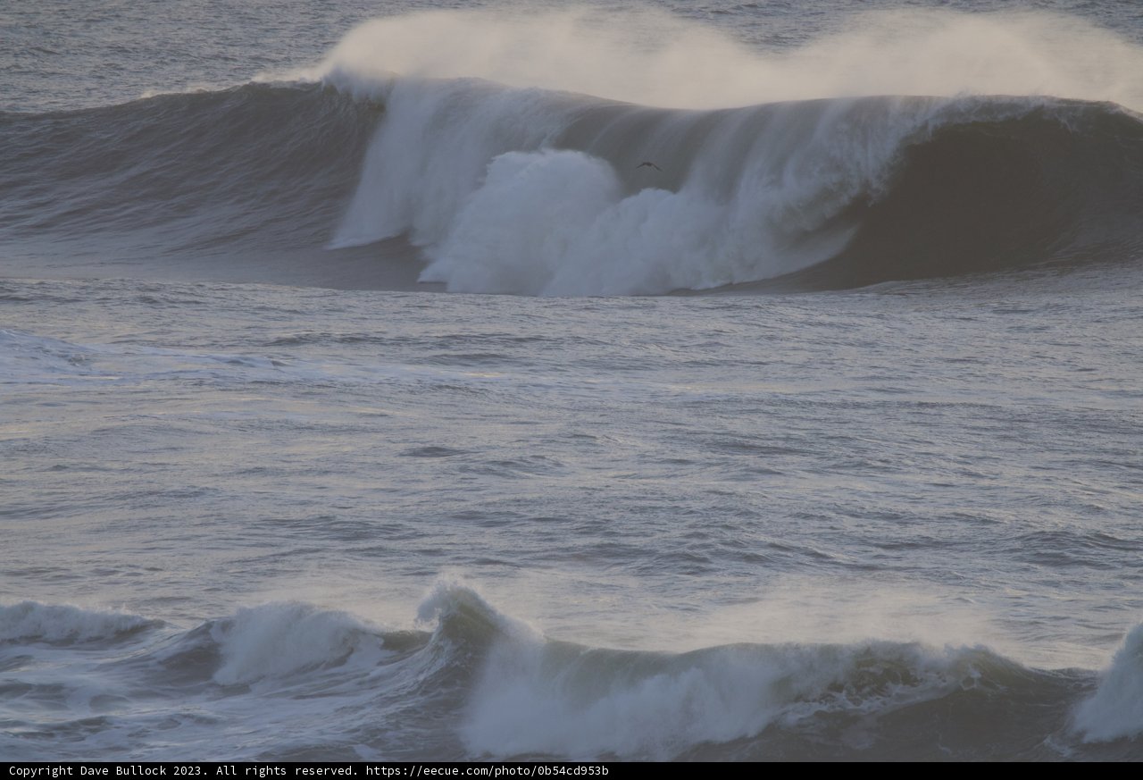 Conquering the Mavericks