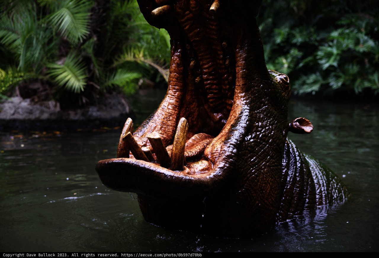 A Majestic Hippo Encounter at Disneyland