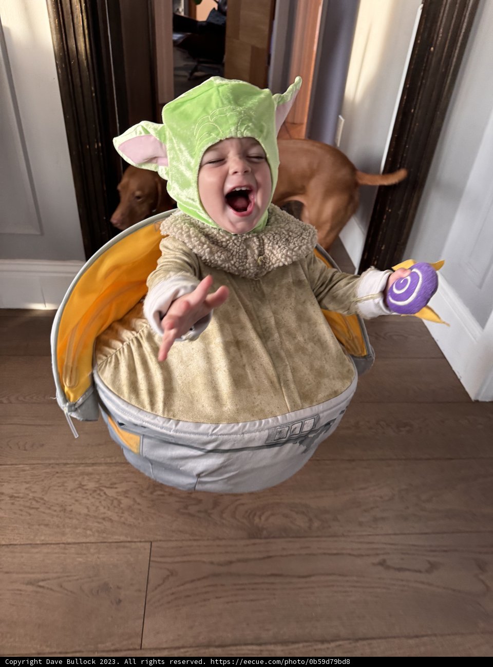 Halloween Delight: Baby Wesley's First Costume Experience