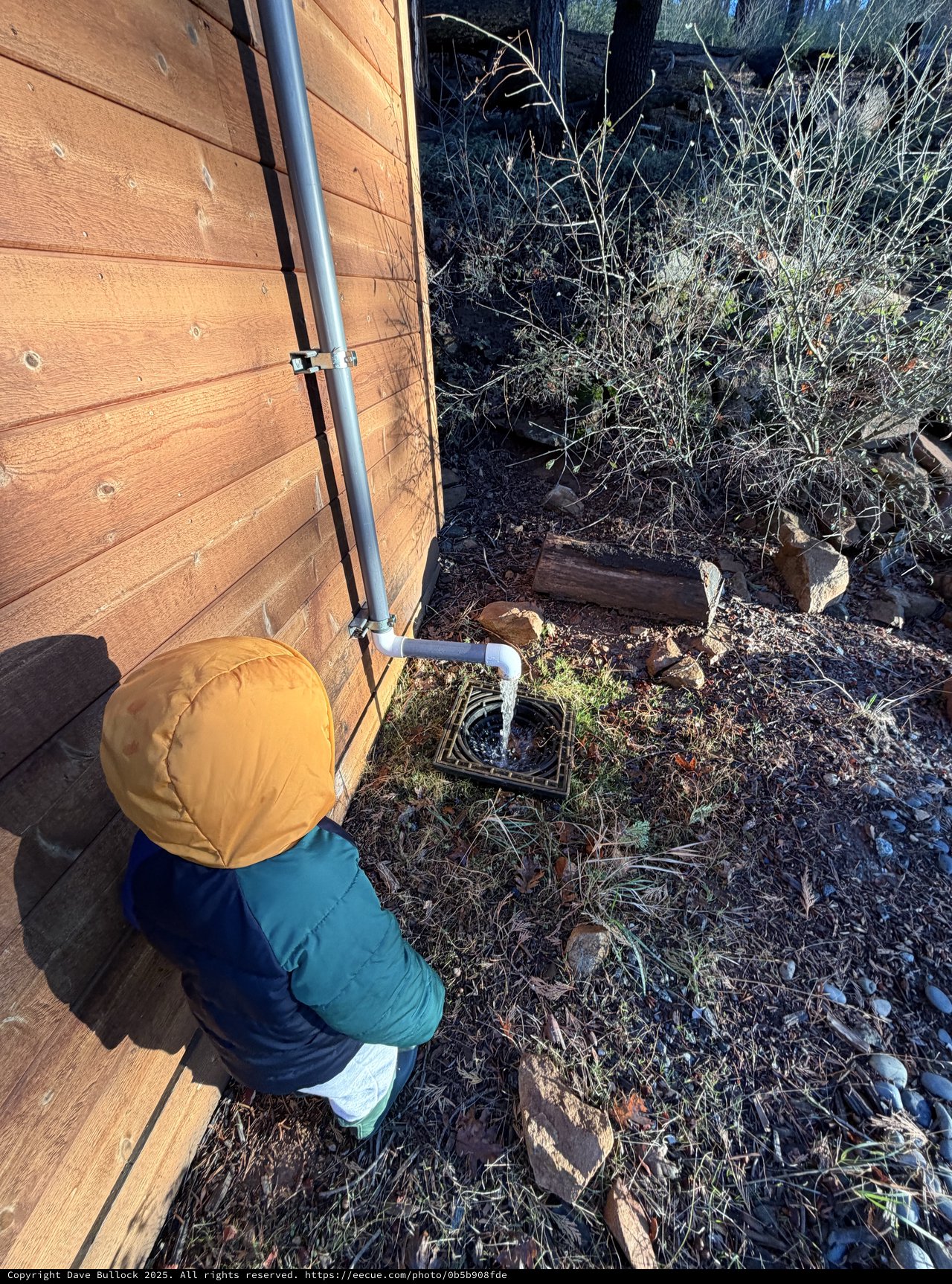 Child Watches Water Flow from Downspout Drain