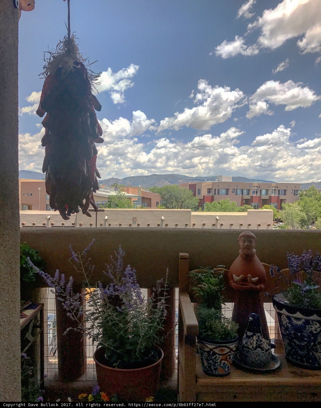 Serene Balcony with Decorative Plants