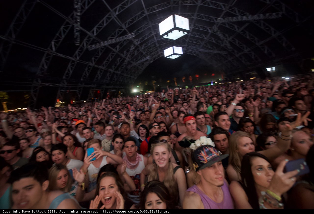High Energy Concert Crowd