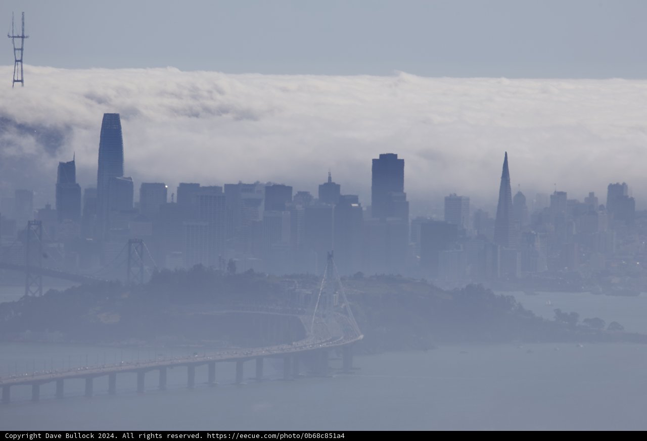 Enveloped in Mist: A City's Skyline Emergent