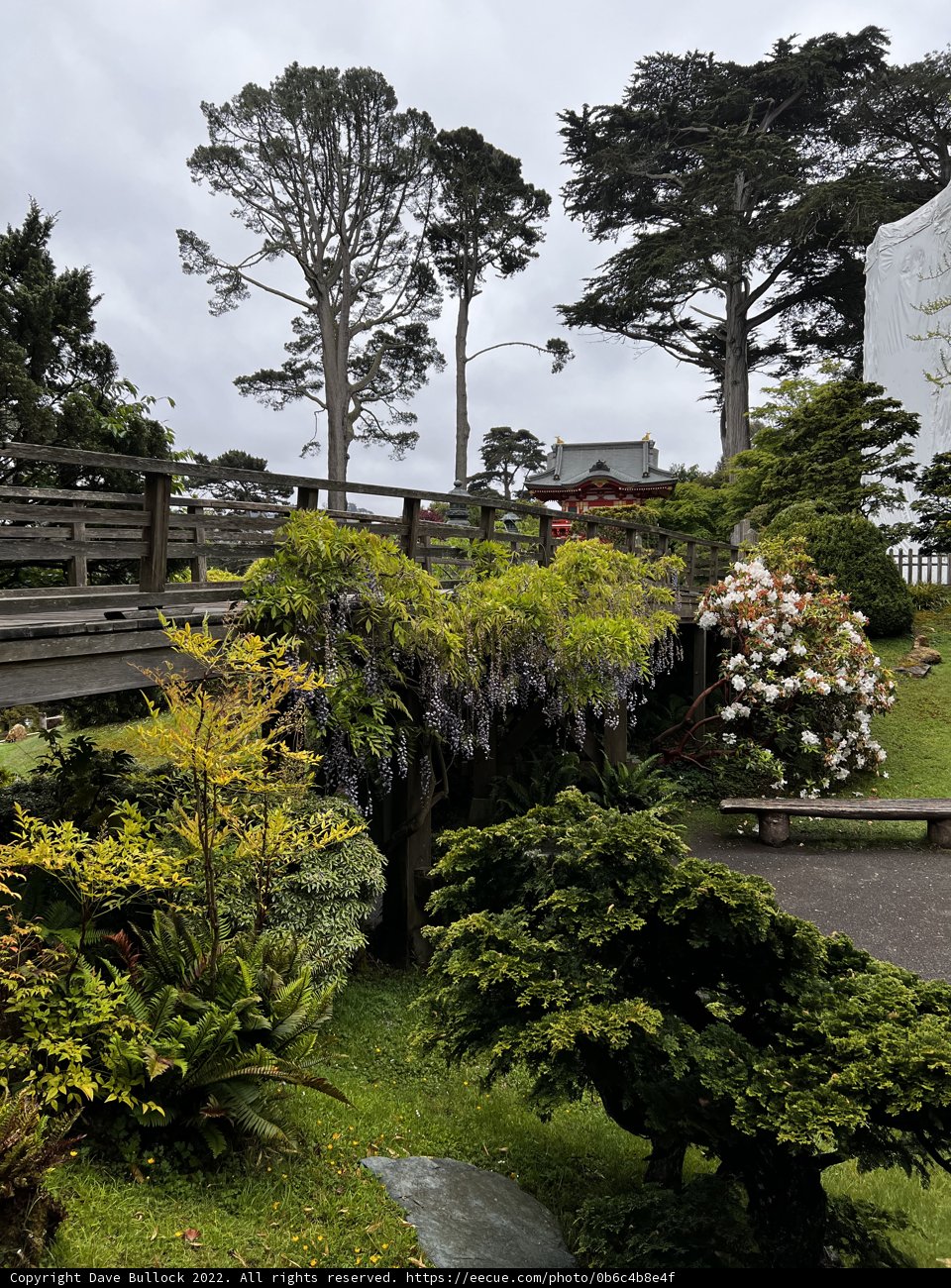 Tranquil bridge in a lush garden