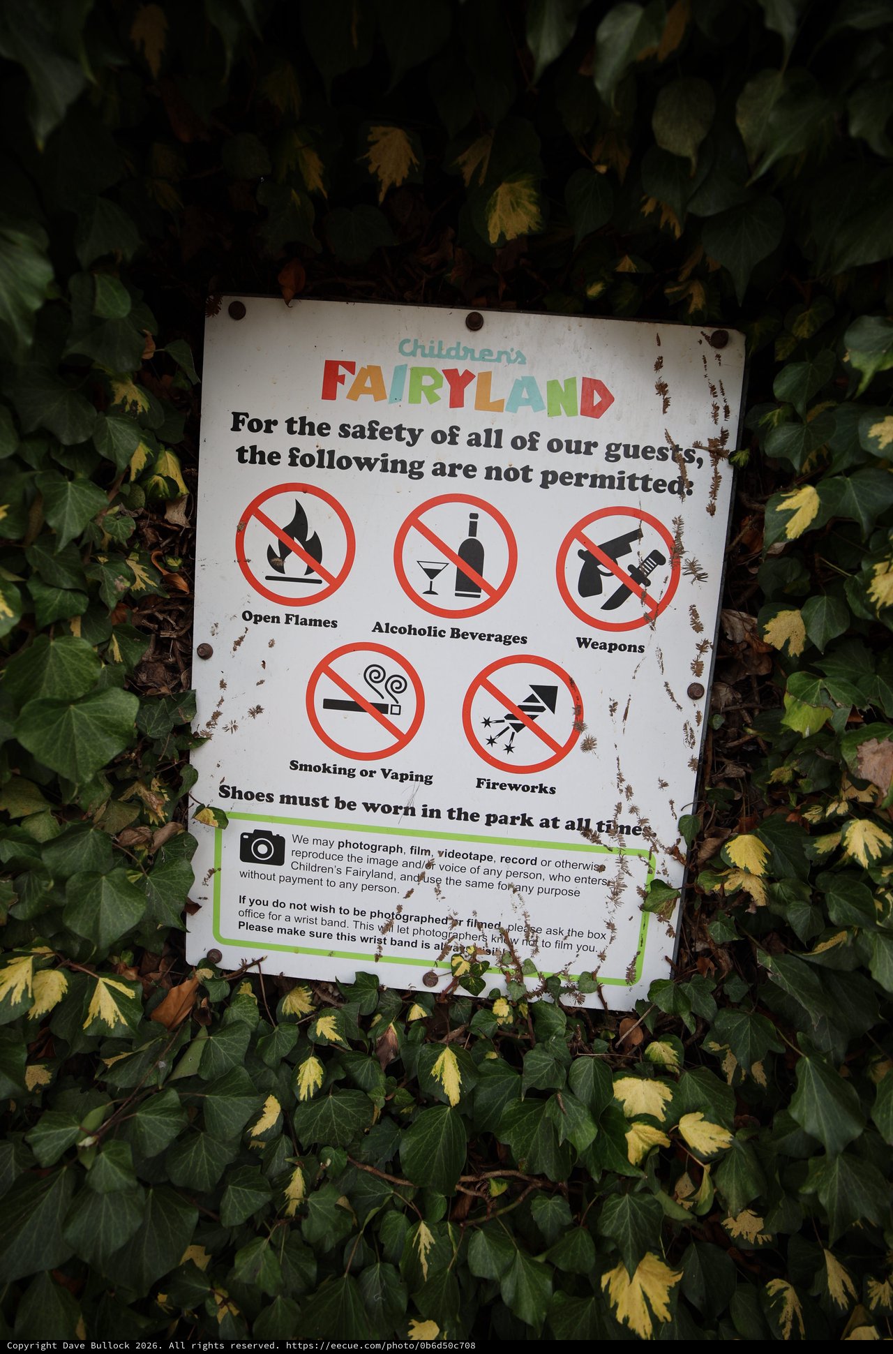 Children's Fairyland Safety Rules Sign Among Ivy