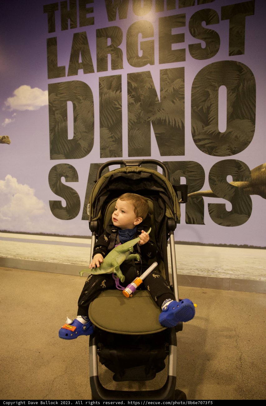 Wesley's Day at the Academy of Sciences: A Baby-sized Roar