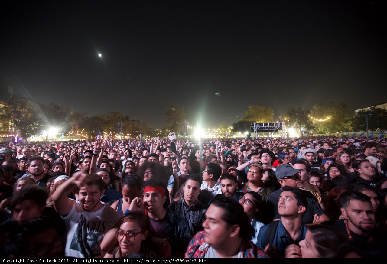 Crowd Under the Moon