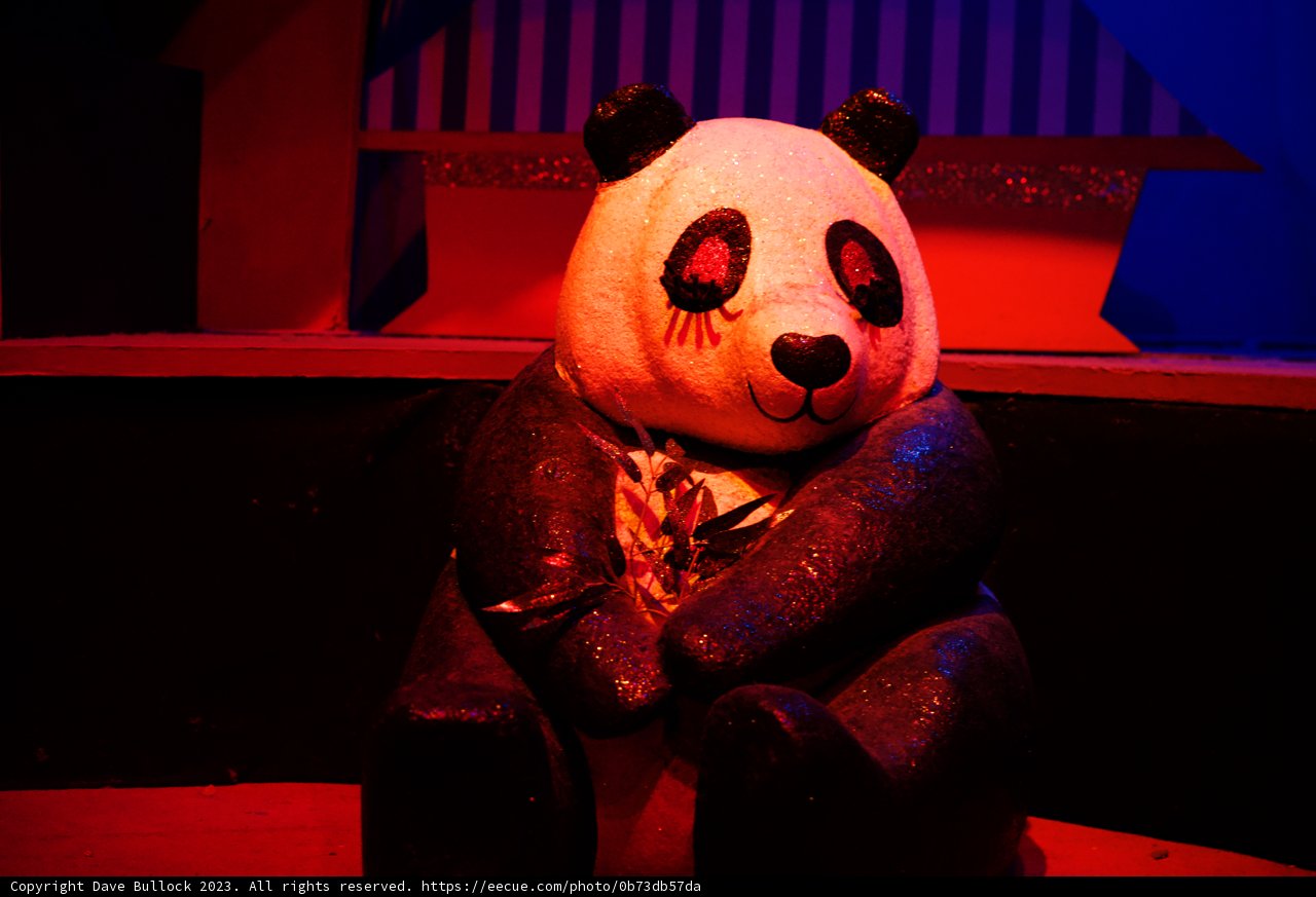 Panda Perfection at Disneyland