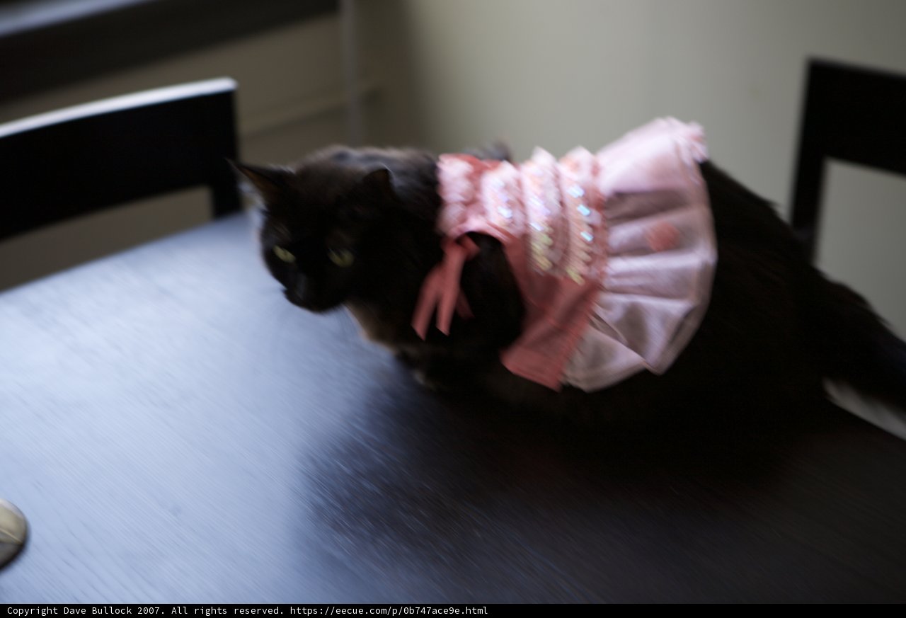 Isabella the Ballerina