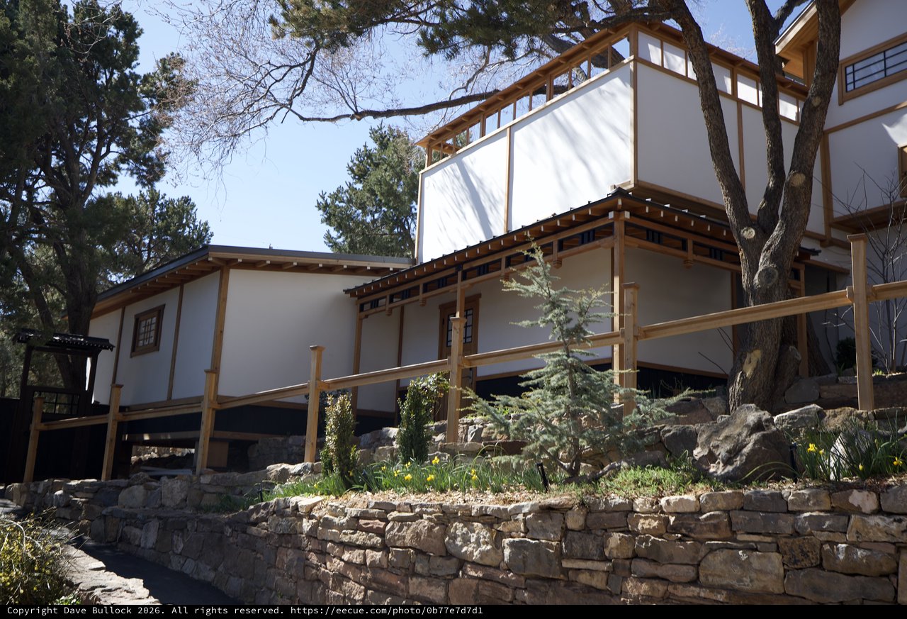 Modern Adobe-Style Home with Asian-Inspired Architecture