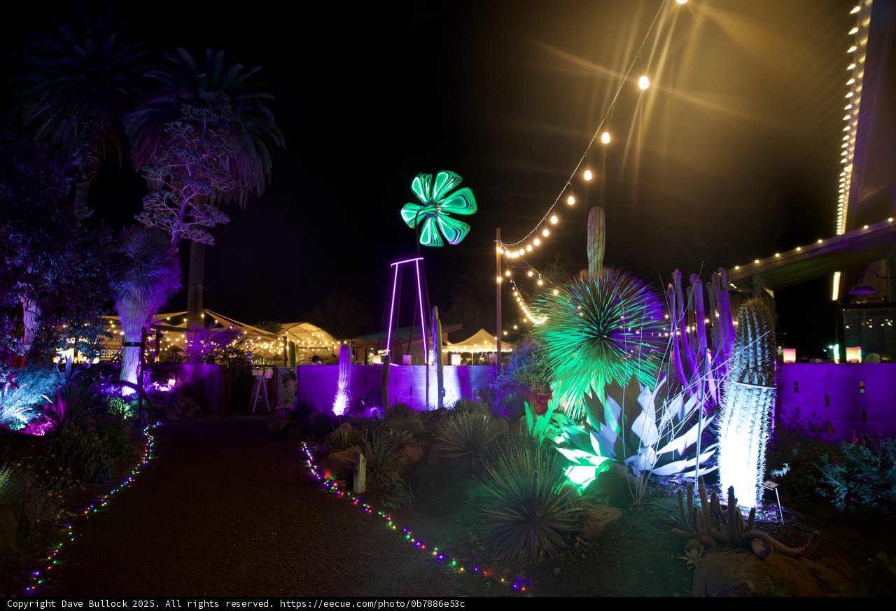 Enchanted Evenings at Ruth Bancroft Garden