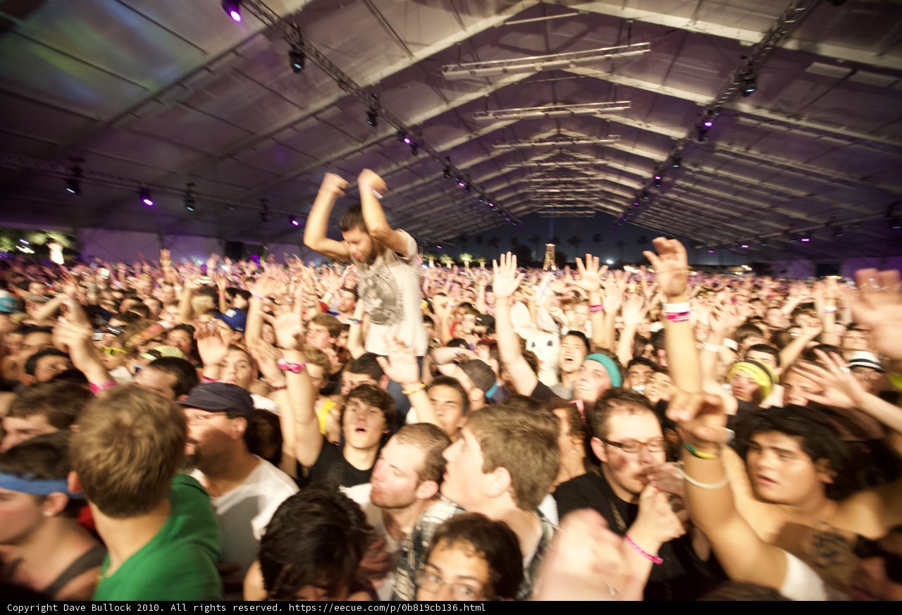 Festival Fever