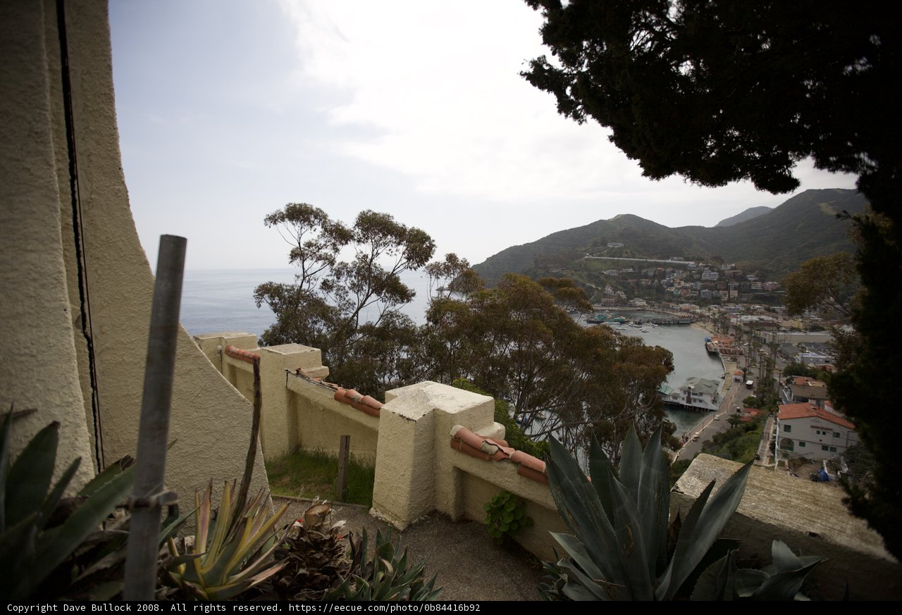Overlooking the Majestic Ocean
