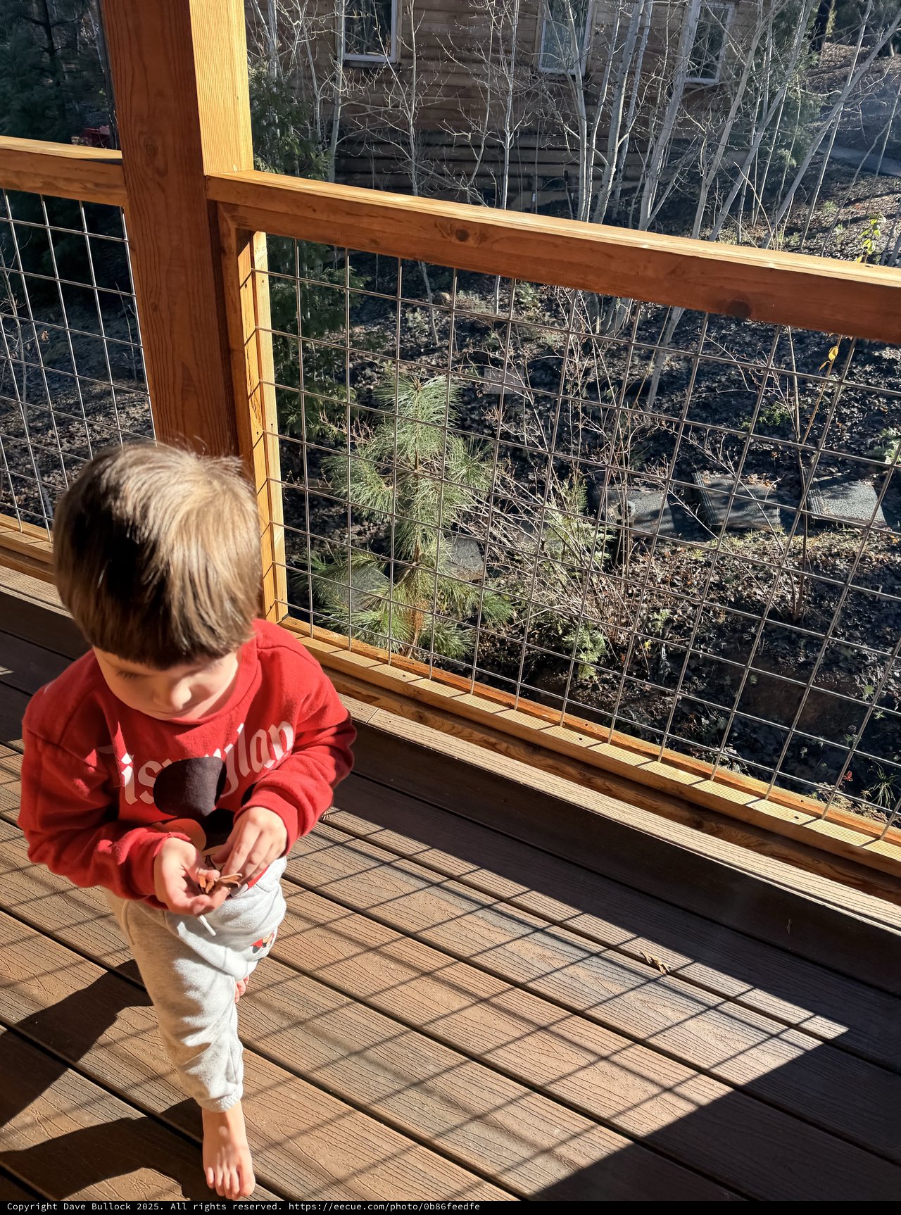 Curious Toddler Explores Deck at Yosemite Cabin