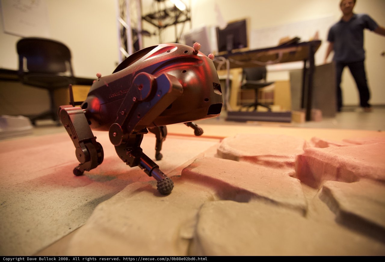 Robot and Man on Plywood Flooring