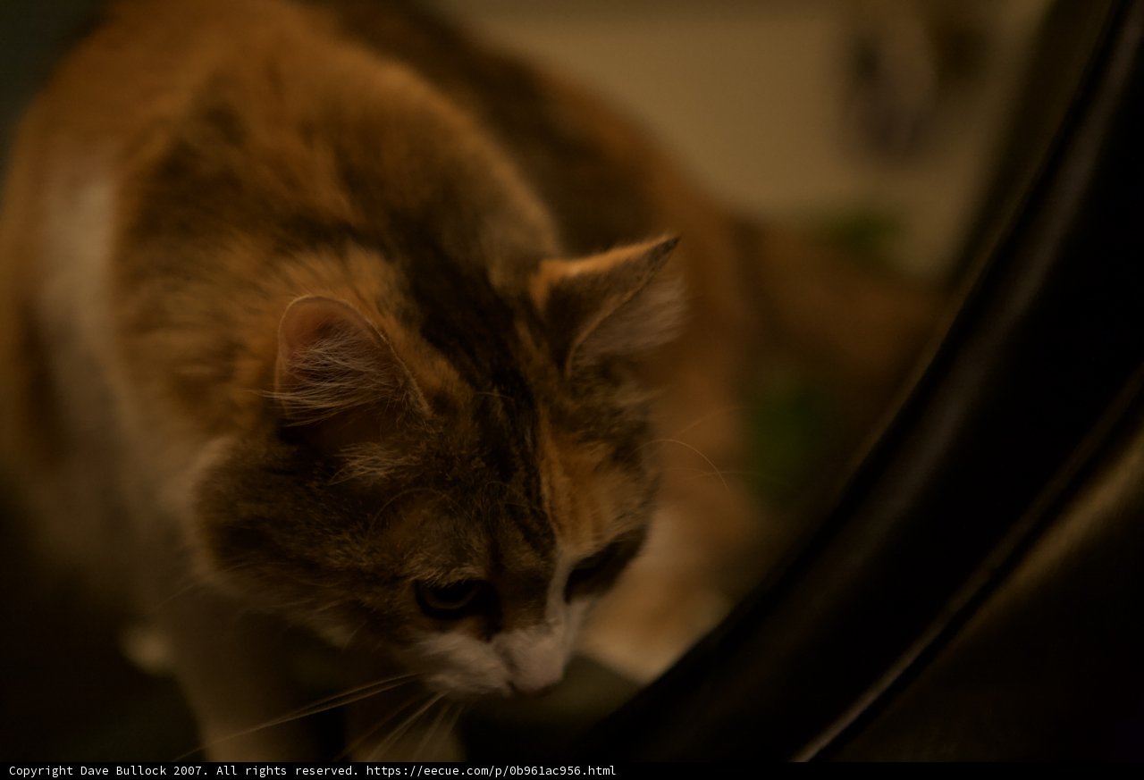 Self-Reflection