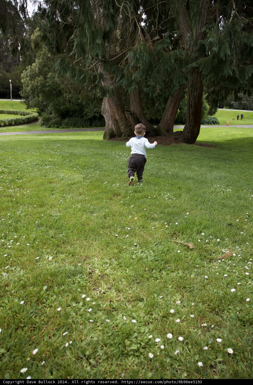 Kite Flying Adventure at The Golden Gate Park