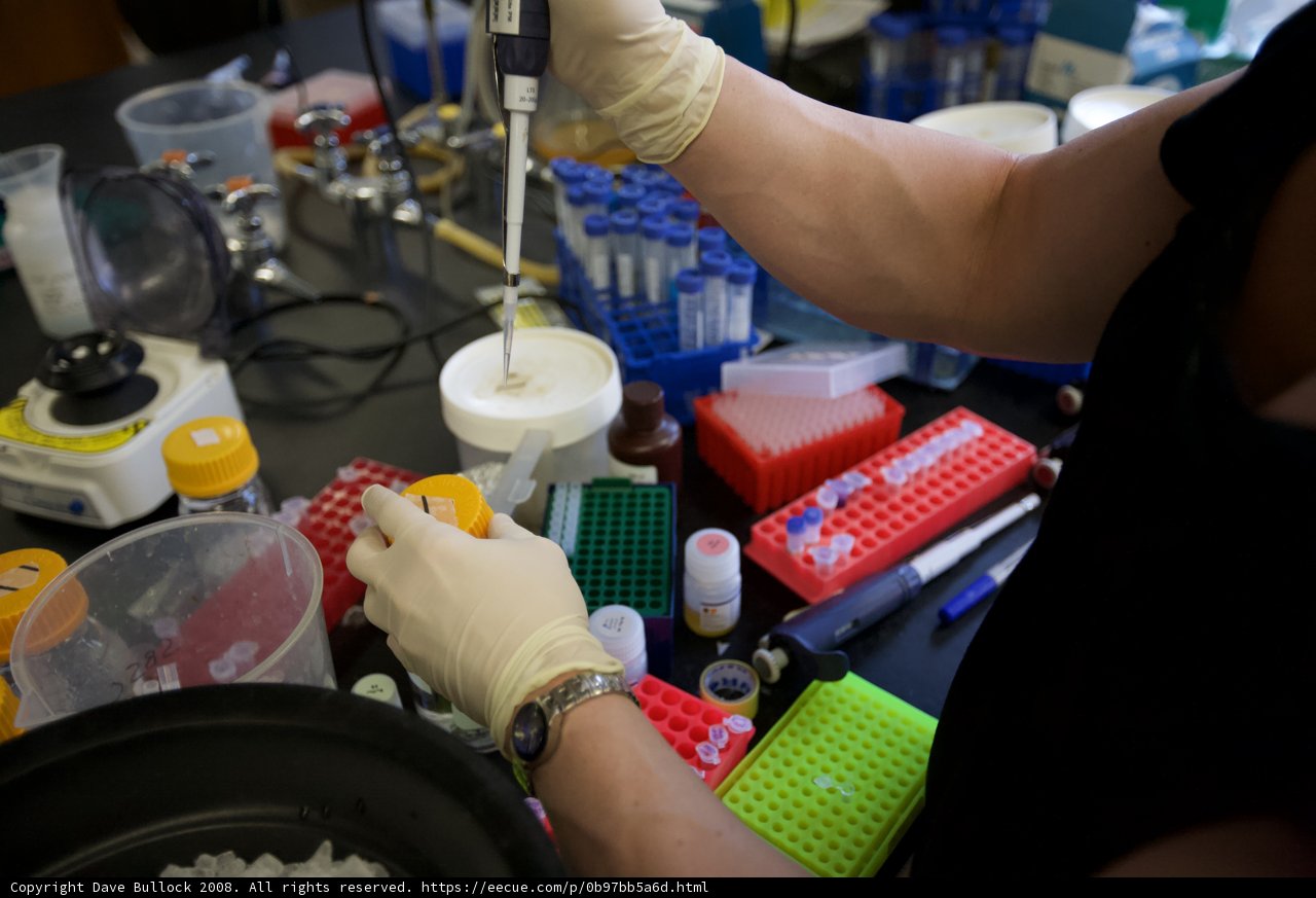 Lab Work