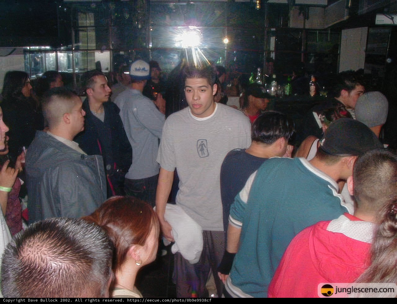 Nightclub Crowd