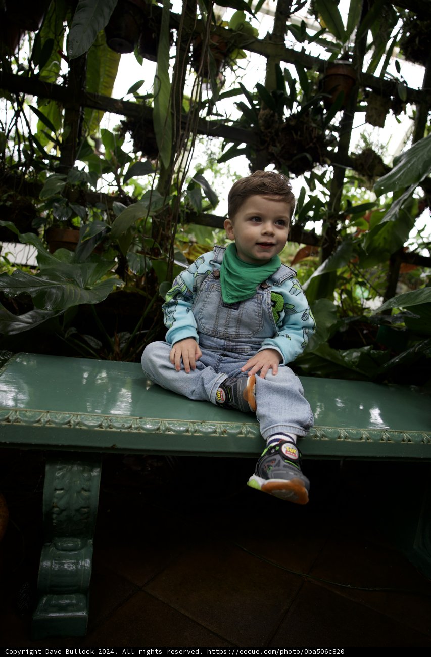 Serene Solitude: A Boy and Greenery
