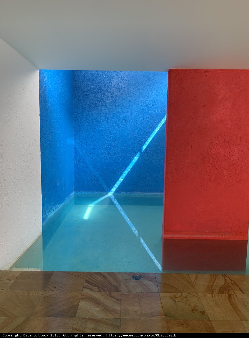 Colorful Contrasts