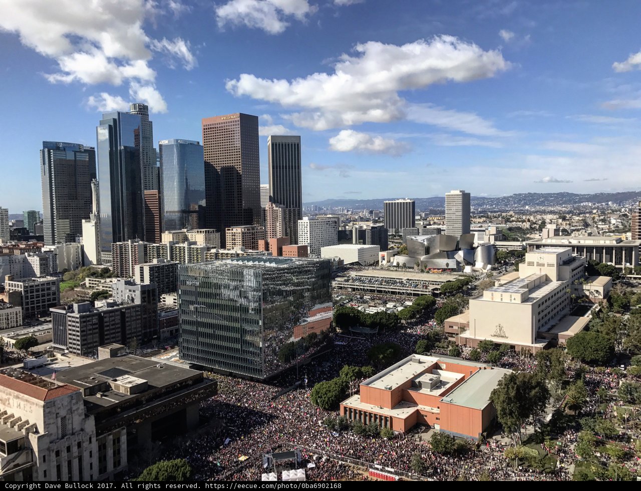 A Glimpse of LA's Urban Landscape
