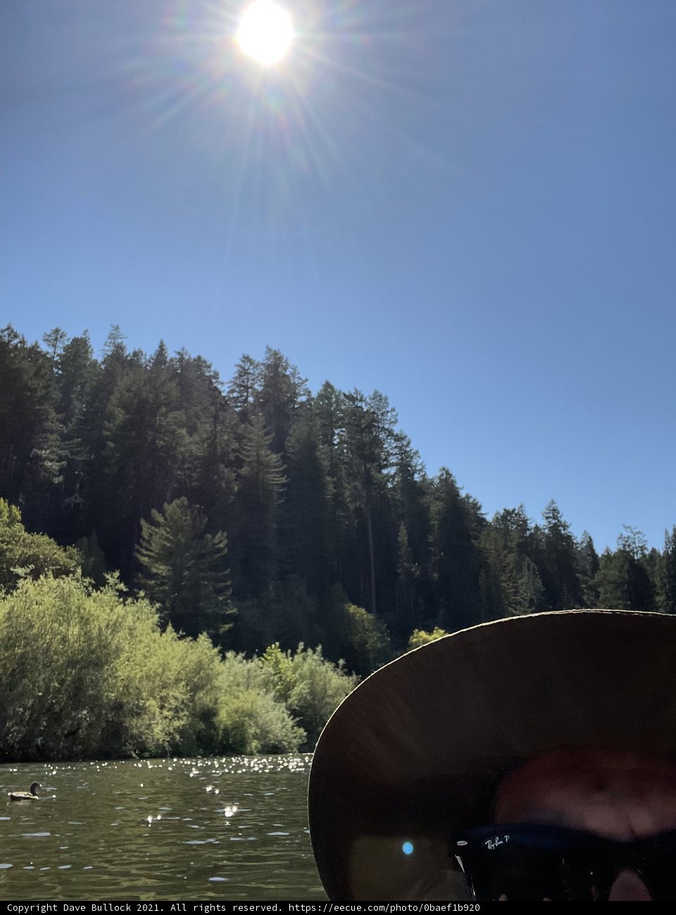 Sun Gazer