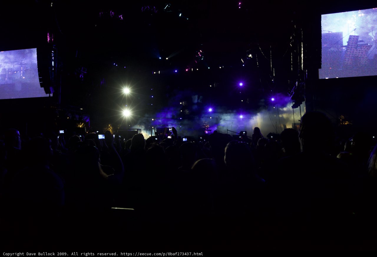 Coachella Crowd Goes Wild