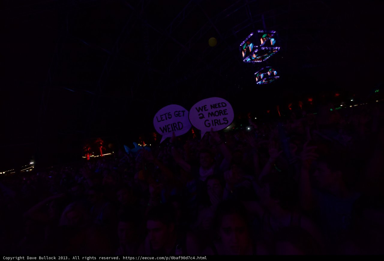 Illuminated Crowd at Coachella