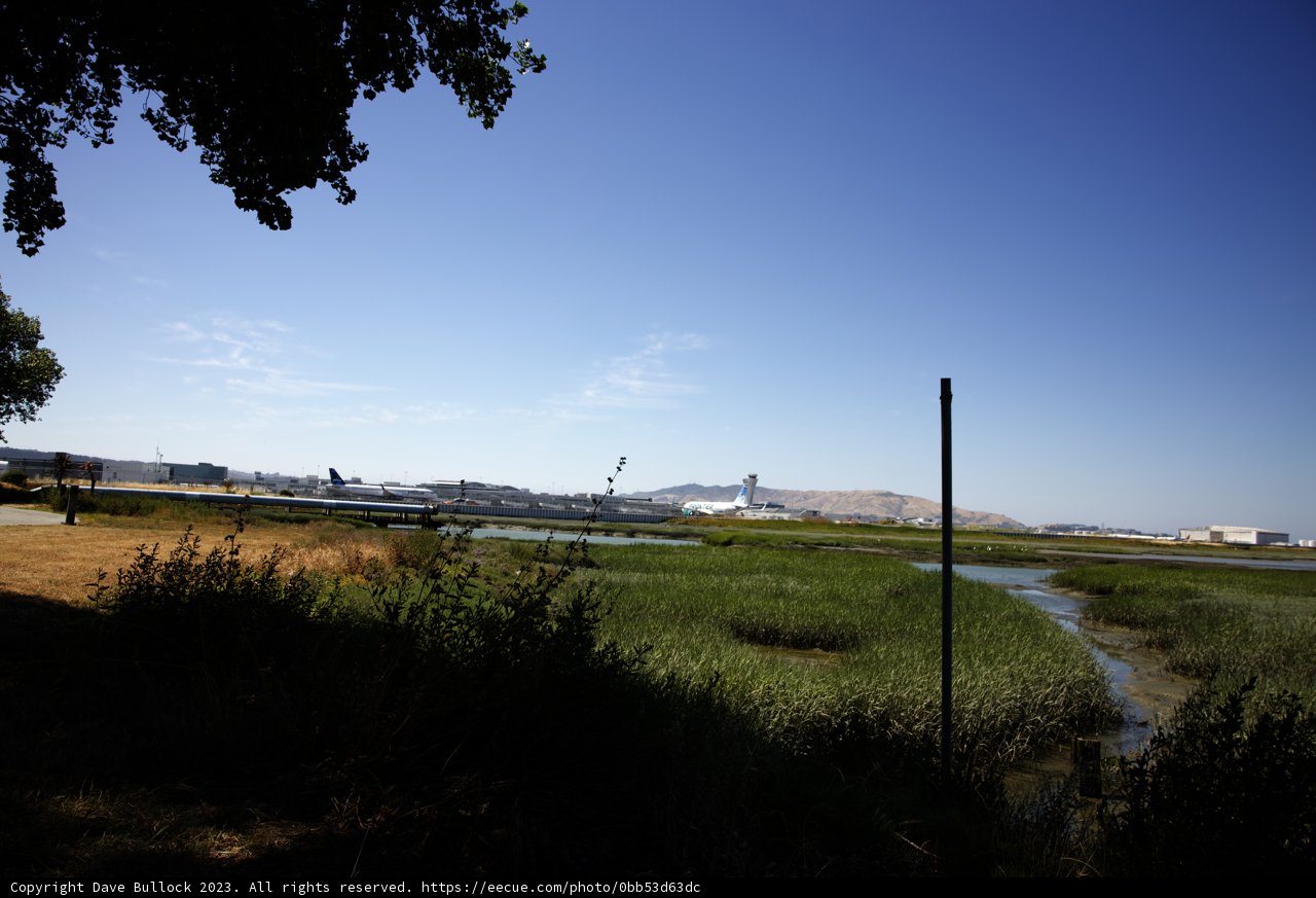 A Tranquil Moment in Bayfront Park, 2023