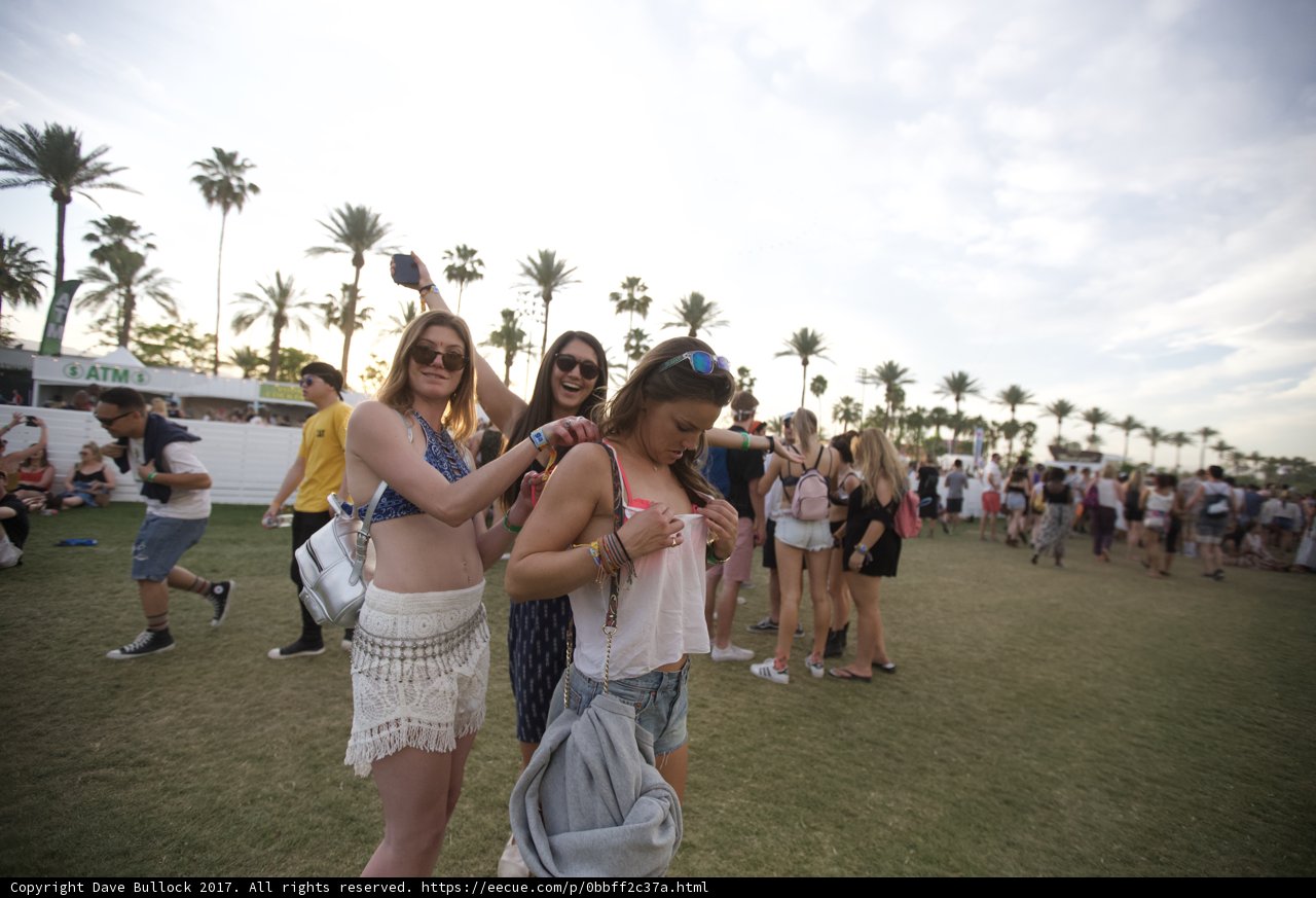 Music Festival Fun with Friends