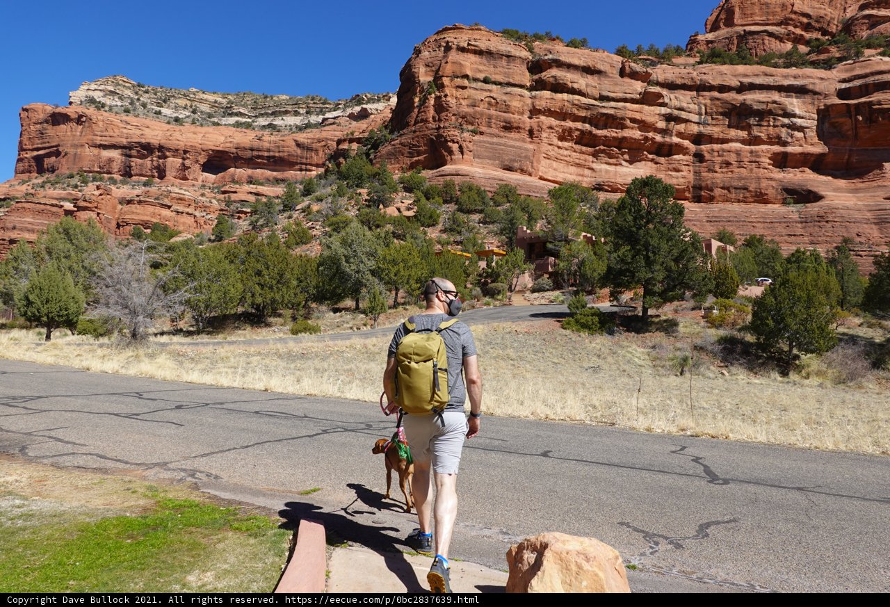 Desert Hiking with Furry Friends