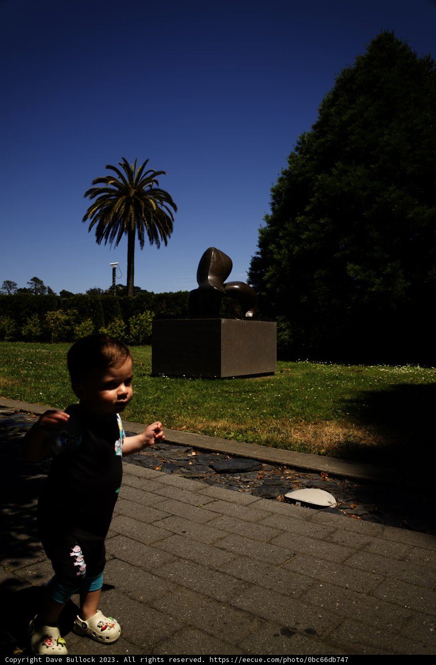 Childlike Wonder at de Young Museum