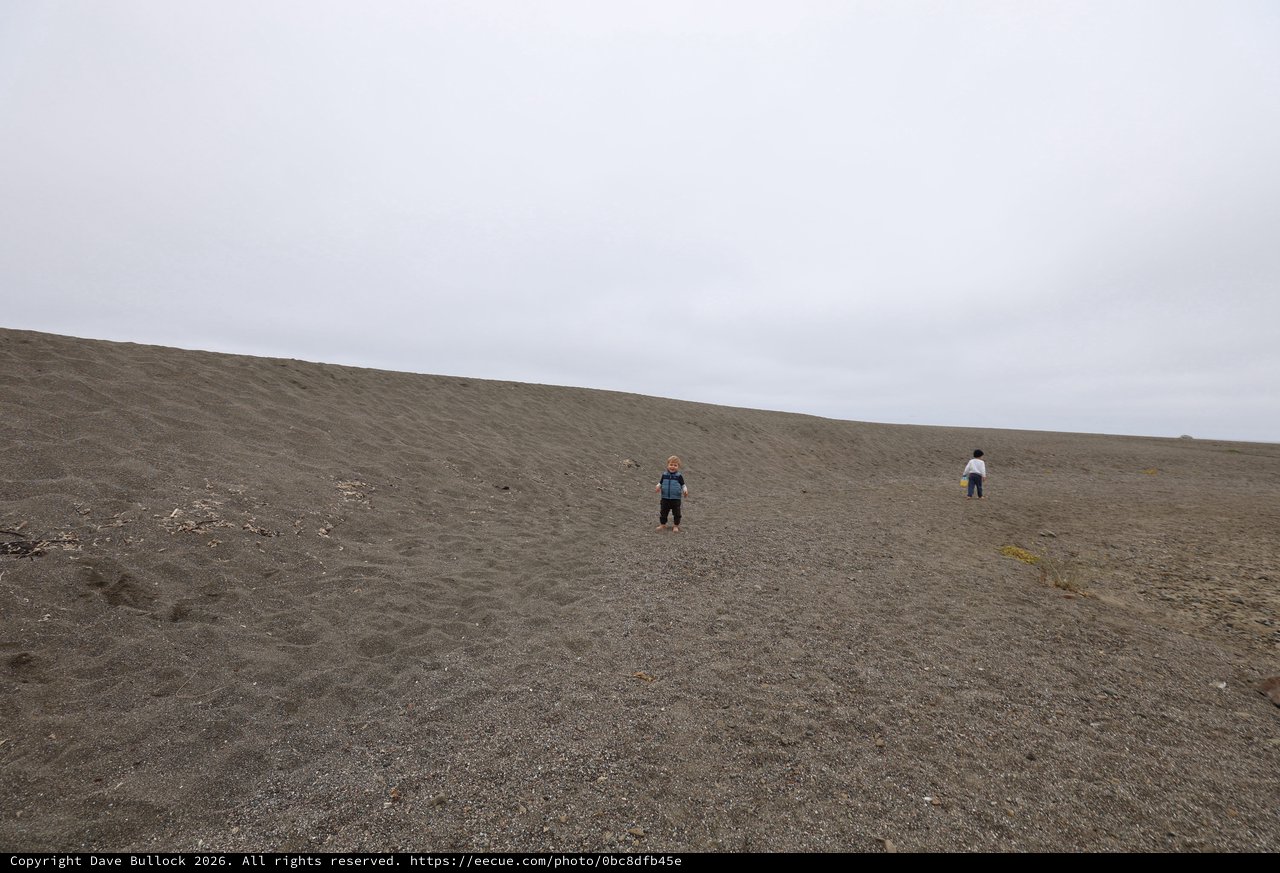 Children Exploring a Vast Dark Sand Beach