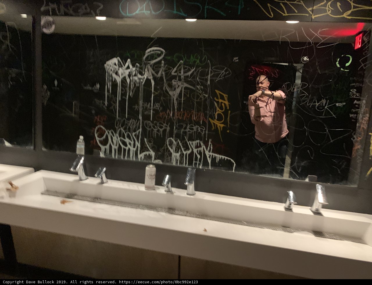 Selfie in the Graffiti Bathroom