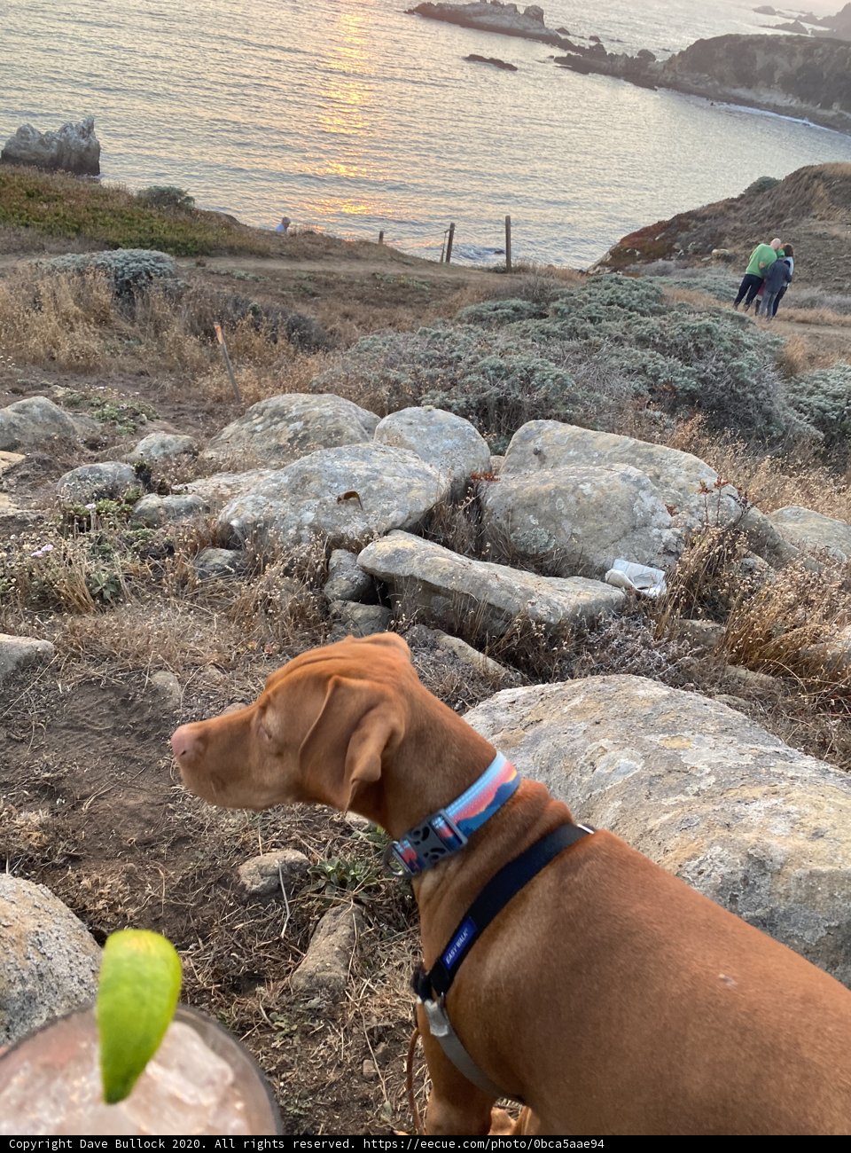 Rocky Sunset with a Faithful Hound