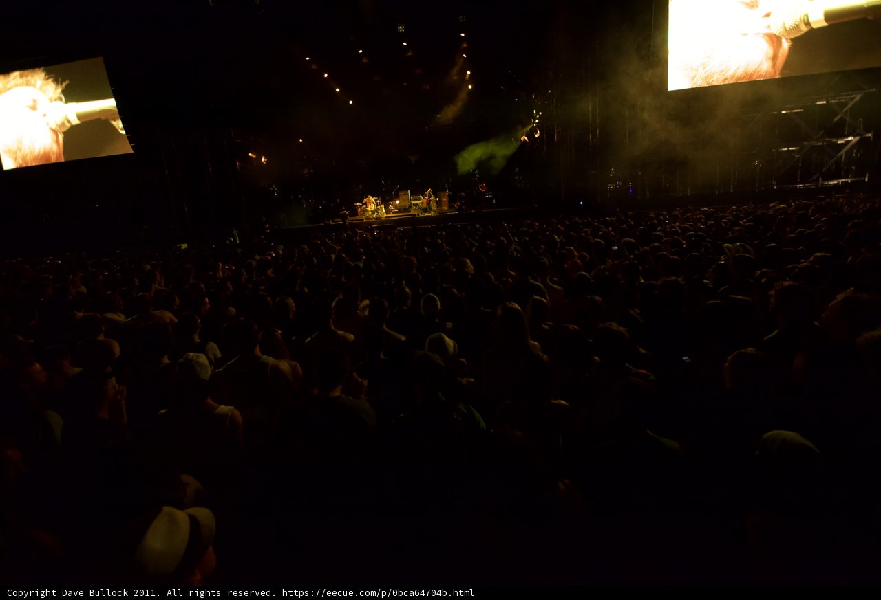 Coachella Fans Watch the Show in Cinema Style