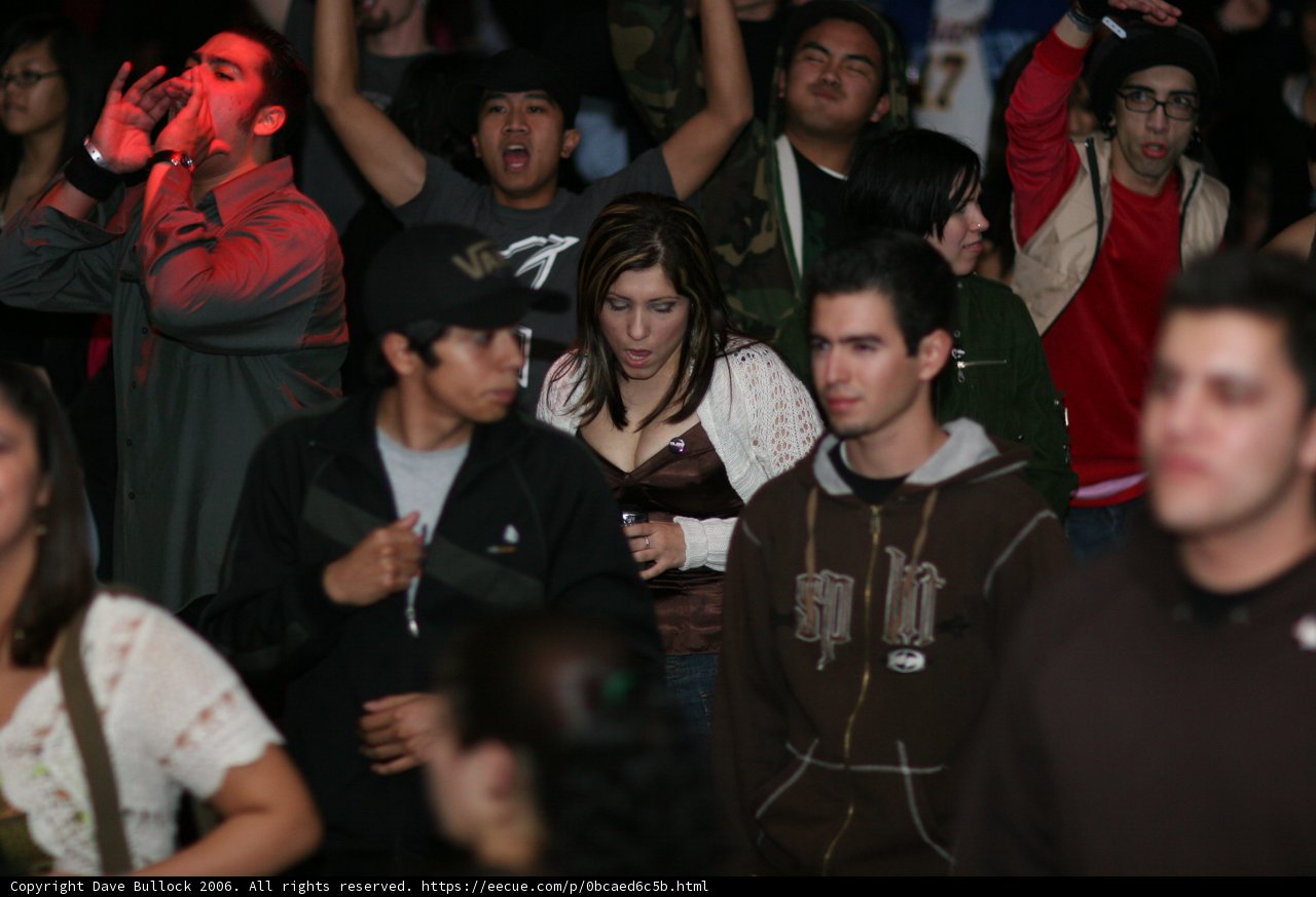 Funktified Crowd