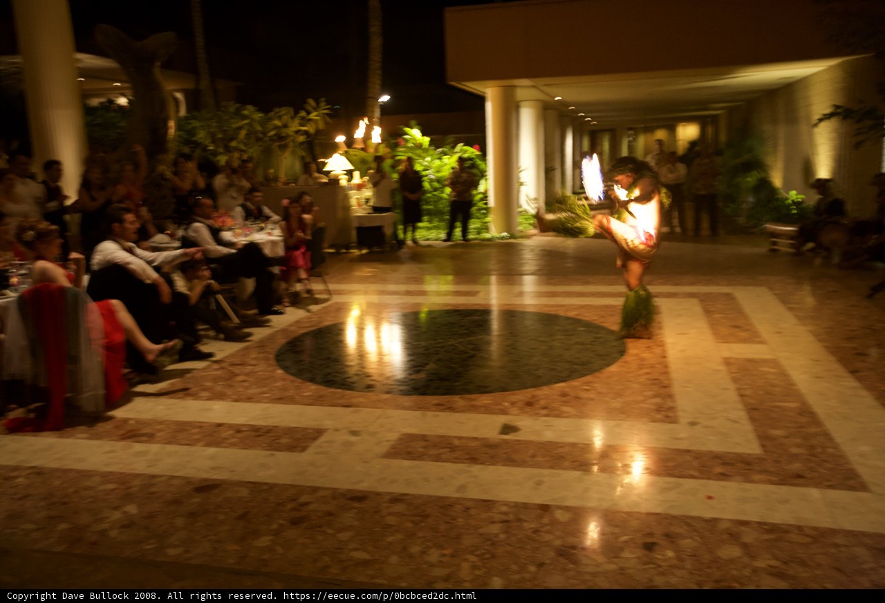 Hawaiian Lei Dancer Shines Under Bright Lights